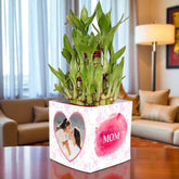 Love U Mom Personalized Bamboo Plant